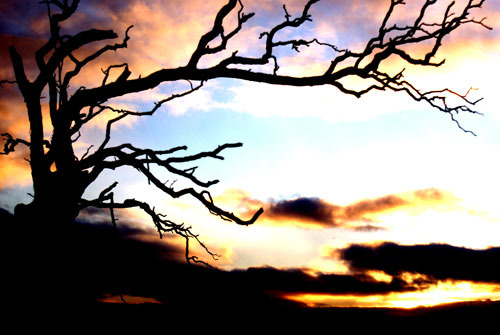 5r04z2zmuimptuosvqbf7v1io1_500