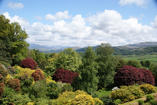 Media_httpfarm4static_exdqq